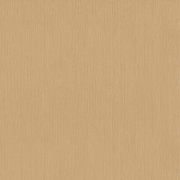 218784 ANTEOR