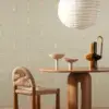 224249 ANDATI