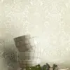 222814 BOREAL